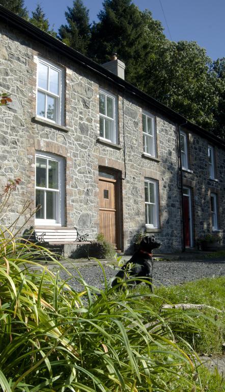 Bronfelin & Troed-Y-Rhiw Holiday Cottage Llanwrtyd Wells Eksteriør billede